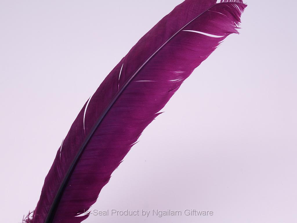 Feather color - Purple.JPG
